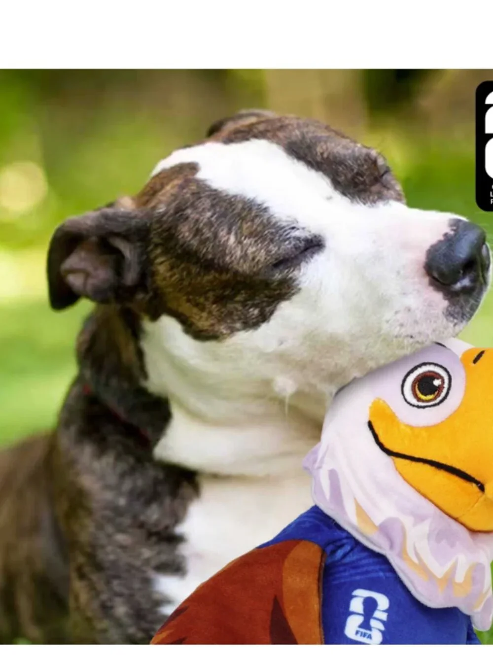 FIFA World Cup 2026 Clutch Eagle Mascot Plush Squeaky Dog Toy 15